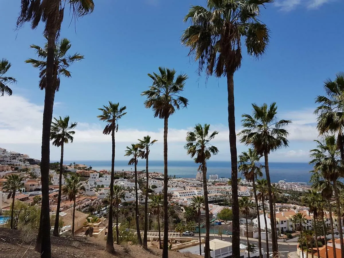 Lovely Studio Fully Equiped In Costa Adeje Apartment Costa Adeje (Tenerife)
